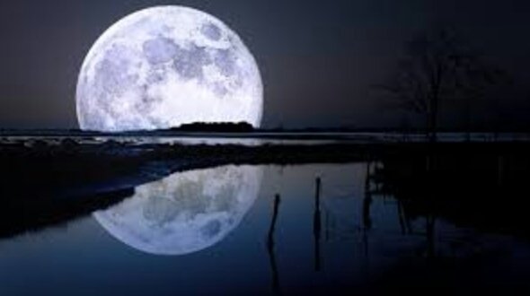 Jwalant4's tweet image. ये माना चाँद अभी इक रेत का मैदान है लेकिन 
किसी दिन जा के हम इस को हसीं जन्नत बनाएँगे 
किसी दिन चाँद पर हम लोग भी रॉकेट से जाएँगे 

~ कैफ़ अहमद सिद्दीकी
#Chandrayaan2  #ISRO