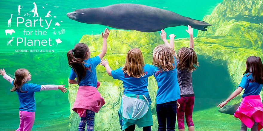 zoos_aquariums's tweet photo. With support from the Disney Conservation Fund, we are highlighting 10 members' Party for the Planet®: Spring Into Action volunteer events. First and second place winners will receive a donation to a conservation program they support. Vote today: https://t.co/v64MnBMe0N https://t.co/gbIX9GhSy6