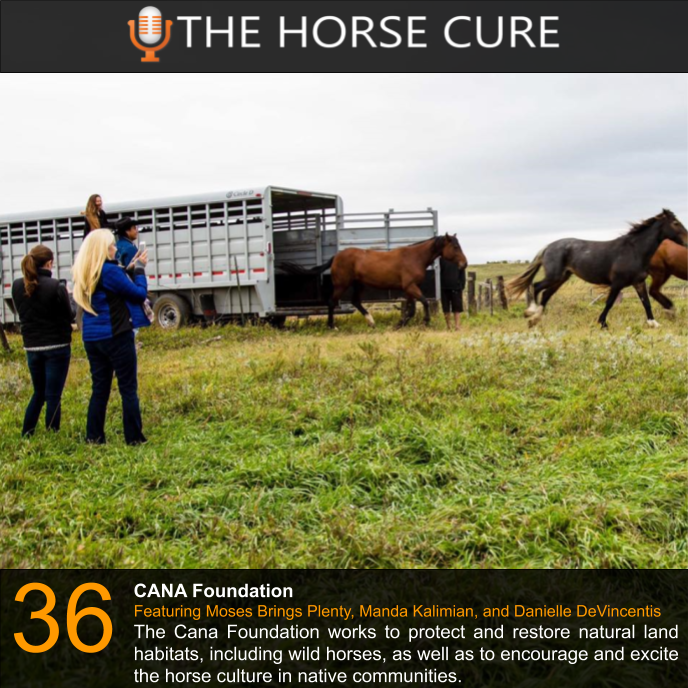 horsecurepod's tweet photo. @CANAFoundation joins us for our latest episode. Check it out at https://t.co/YI63uVJRee #CanaFoundation #RewildOurWorld #Rewilding #HorsePodcast #HorseCure #WildHorses #HorseAdoption https://t.co/ZA2zjK65i0