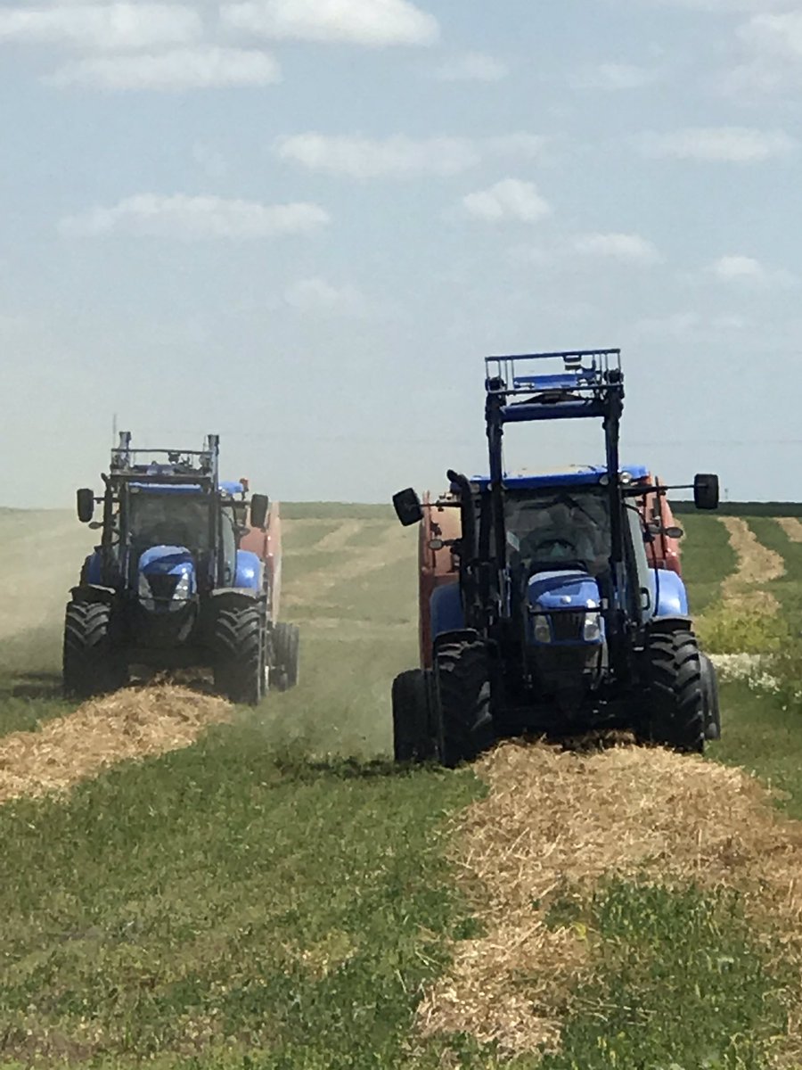 The race is on. These are #newhollandtractors and #newhollandbalers roll belt 560 specialty crop. <a href="/EBourassaSons/">E. Bourassa & Sons</a> @NewHollandAG