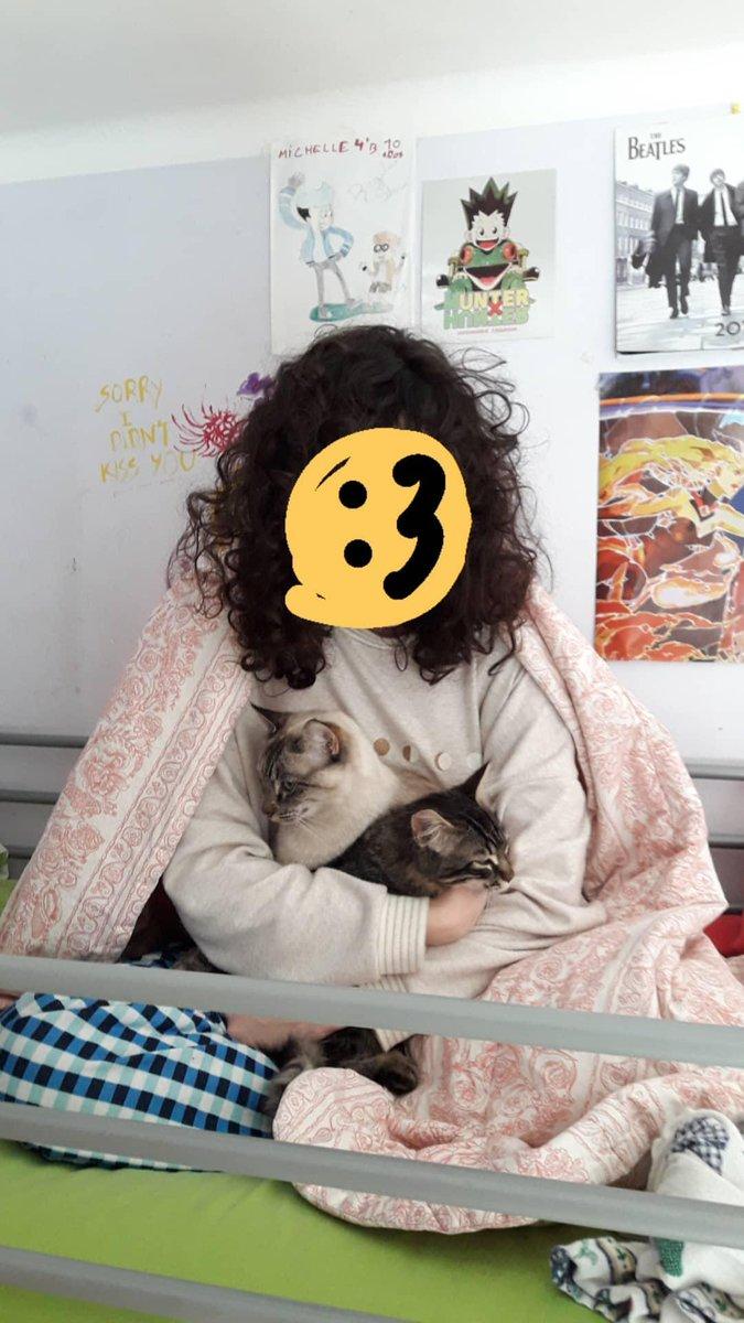 SourKylo's tweet photo. consuela es saber que ya no lo está sufriendo. Descansa en paz, eres la mejor gata que he tenido la suerte de conocer. Te adoramos y te echamos de menos. Buenas noches ángel. https://t.co/QROmpgtVef