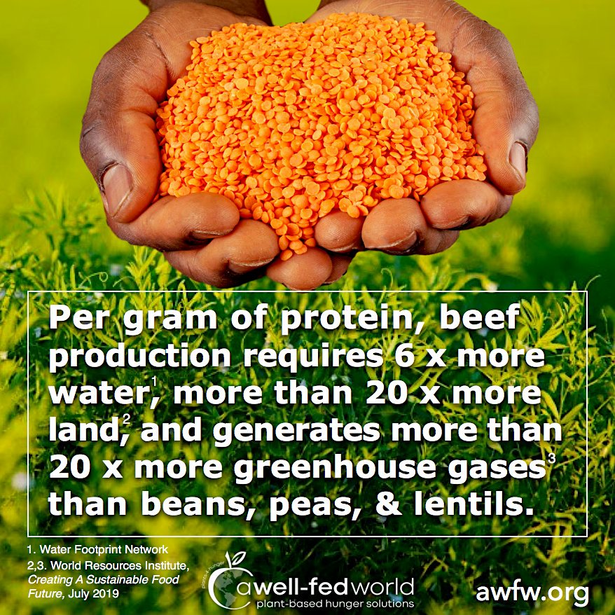 Did you know that in the U.S., beef only contributes about 3% of the calories in the average diet, but uses 43% of all agricultural land in the country? bit.ly/2JW8uFp

#BeansNotBeef #EatPlants #SustainableAgriculture #ClimateCrisis