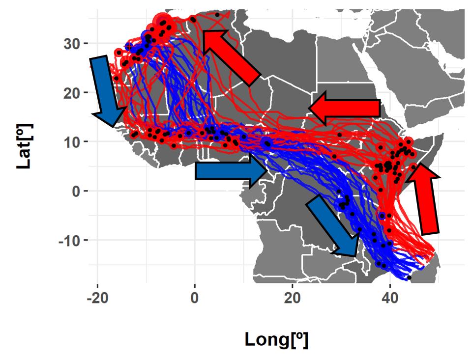 Eleonora's Falcons thus engage in a spectacular trans-African  #migration. But I won't go into detail abt that just yet. What's most important for us now is that the falcons are back near the colonies and will start laying any day...Map: unpublished  #UvABiTS data #EF2019 [5/n]