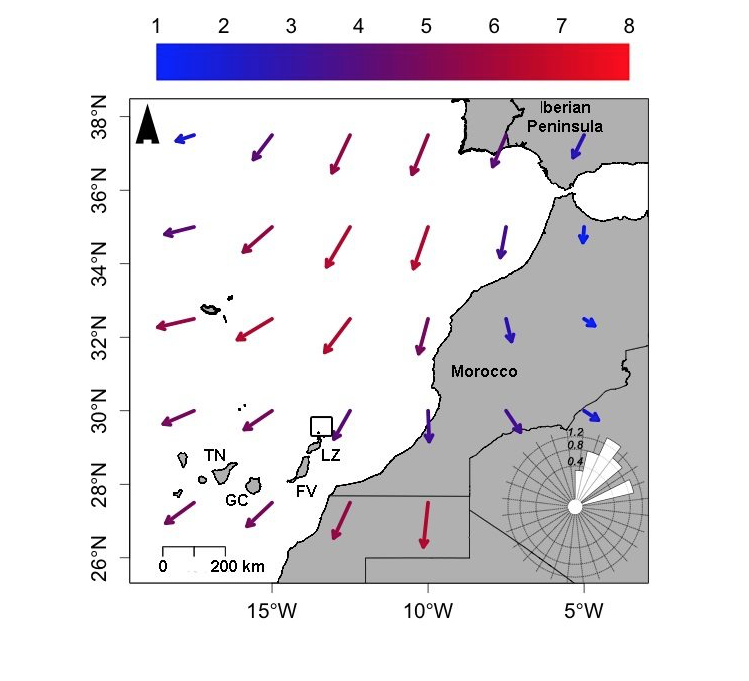 But wait there's more! Because while Eleonora's Falcons in the Mediterranean likely enjoy a steady supply of songbirds all season, falcons in the  #Chinijo depend on NE trade winds to blow migrants out to the Atlantic Ocean. Source:  https://royalsocietypublishing.org/doi/abs/10.1098/rspb.2015.2406 #EF2019 [10/n]