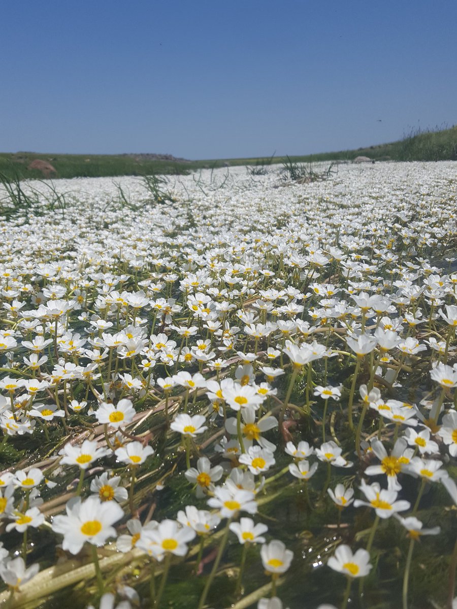 NusretGergec's tweet photo. Hayatta hiçbir şey Ağzımızın tadından daha kıymetli değil Allah önce sağlığımızı sonra ağzımızın tadını bozmasın, inşallah hayırlı akşamlar https://t.co/ulBune5yH5
