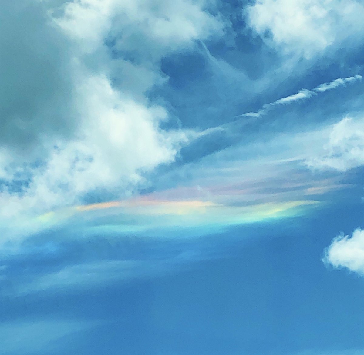 Isaacs_mama's tweet photo. @spann check out this beauty my 8yo spotted earlier today in Trussville! # https://t.co/UhnAlDygZW