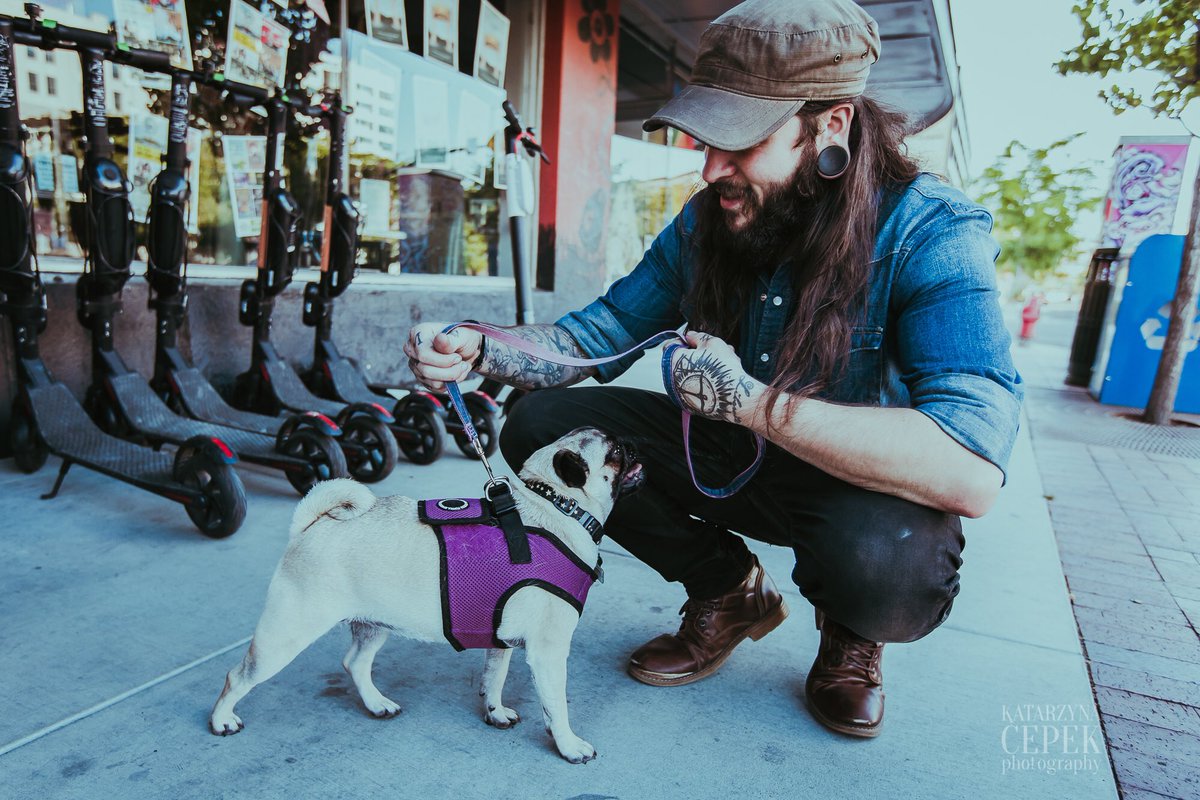 ShawnJamesMusic's tweet photo. @impegthepug ๐โโ๏ธ๐
#theREALstarOfTheShow #PugTour2019 #IDontThinkYouReady #ForThisJelly ๐ธ: @katarzynacepek https://t.co/PFi0kPM8sU