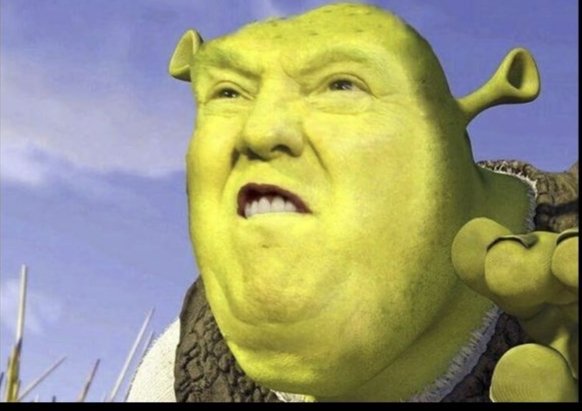 letonnaii's tweet image. 