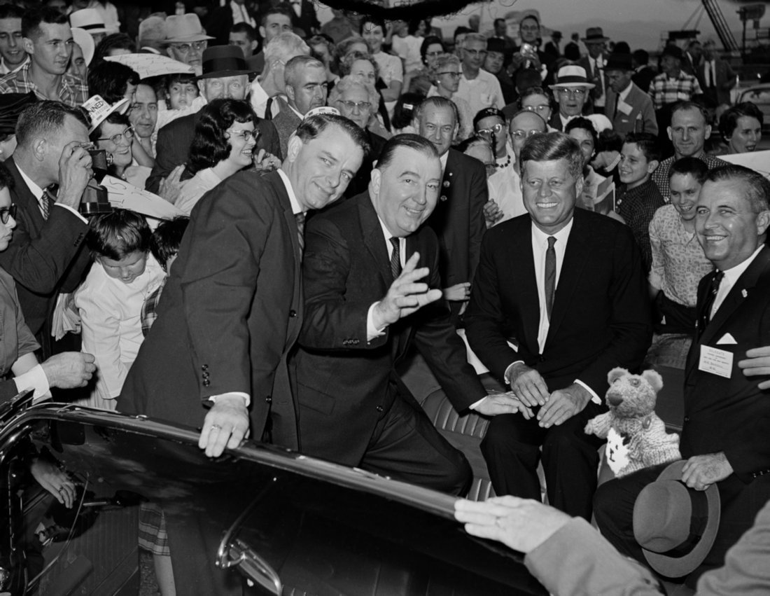 Mungo Fuzzy tweet media