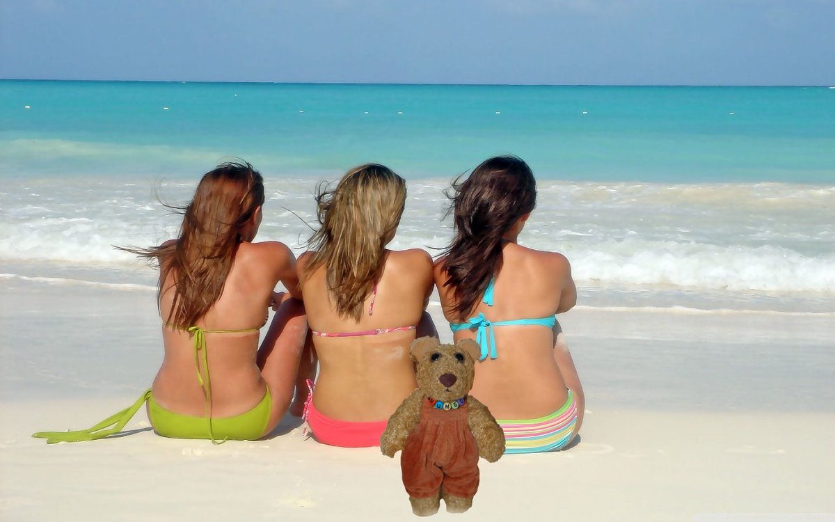 Mungo Fuzzy tweet media