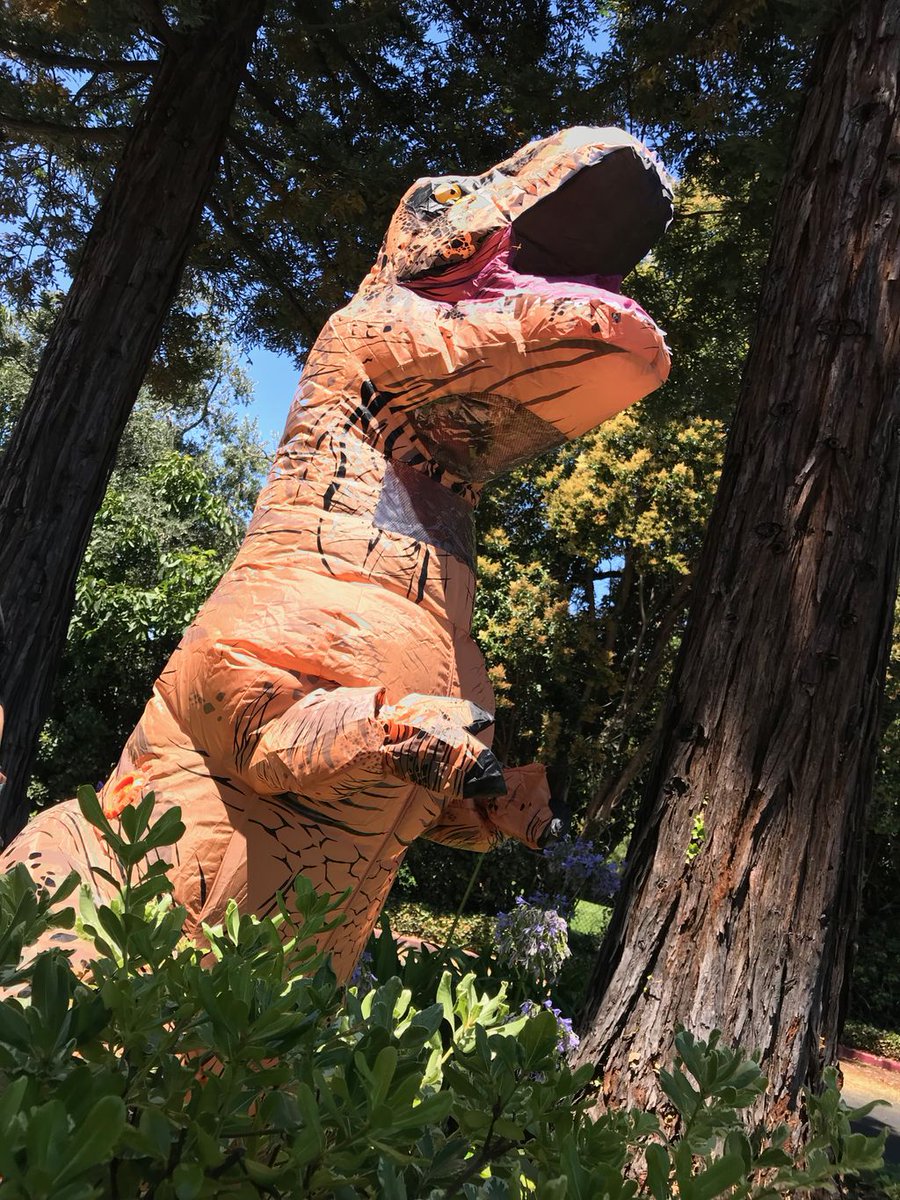 PolyesterDino's tweet image. Best. 👏 Tour. 👏 Ever!!! 👏 California, we love you. Now back to our home in the woods. 🌳🌿🌴