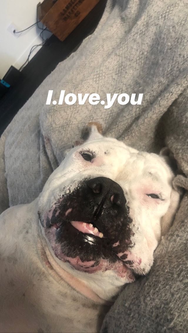 SOSUpdateReport's tweet image. Like on his IG story about 40 mins ago!