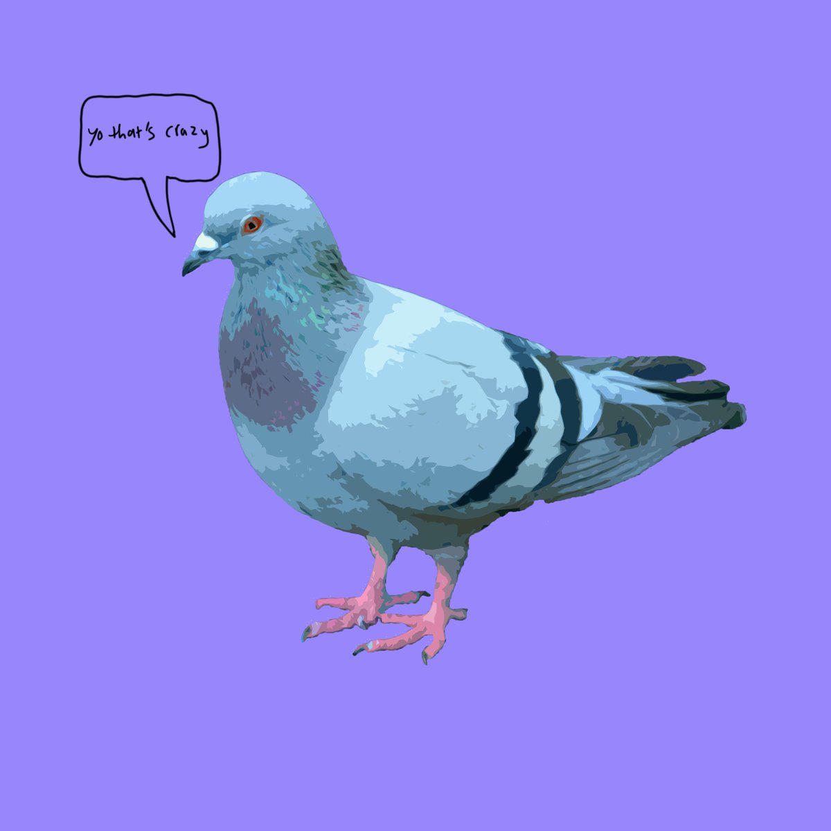 ToriApparel's tweet photo. Pigeons? Pigeons. Here's another entry to my minimalist-anima-saying-things line of pics, fairly easy and fun to do. Throw it on a pastel background and you've got yourself a banger.

Link in bio if you'd like to see some of my other stuff!

#art #aesthetic #photoshop #pigeon #ye https://t.co/BfiB4GlH9h
