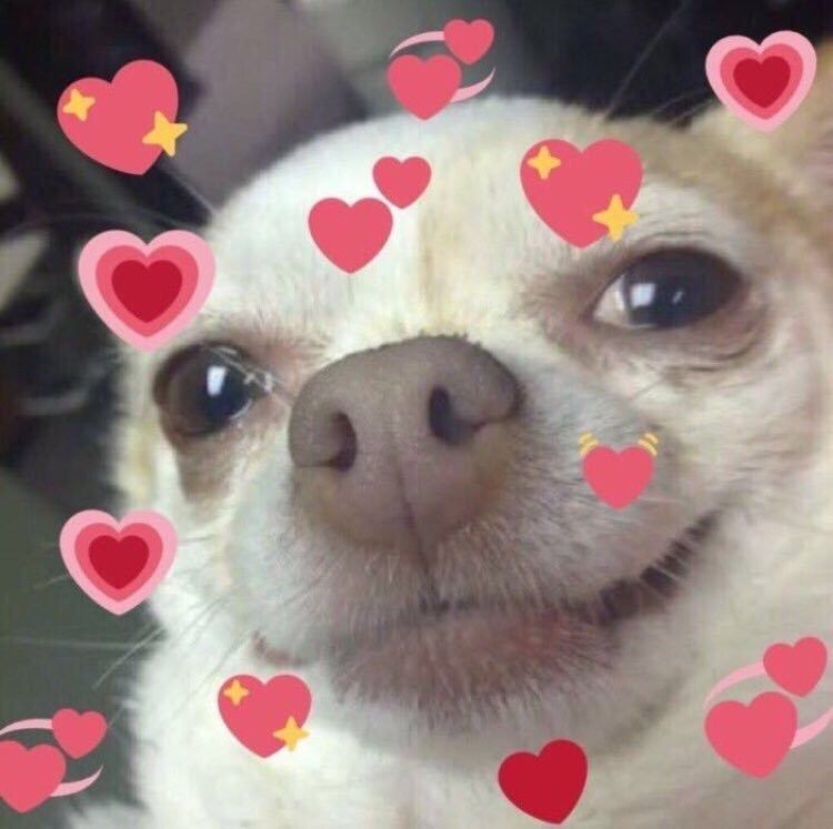 Ermagurd 5000 what is that????!!!!!!! ❤❤❤❤❤❤
Thank you sooooooooooo much 🌚

I'll reply to all of you later! love you ❤