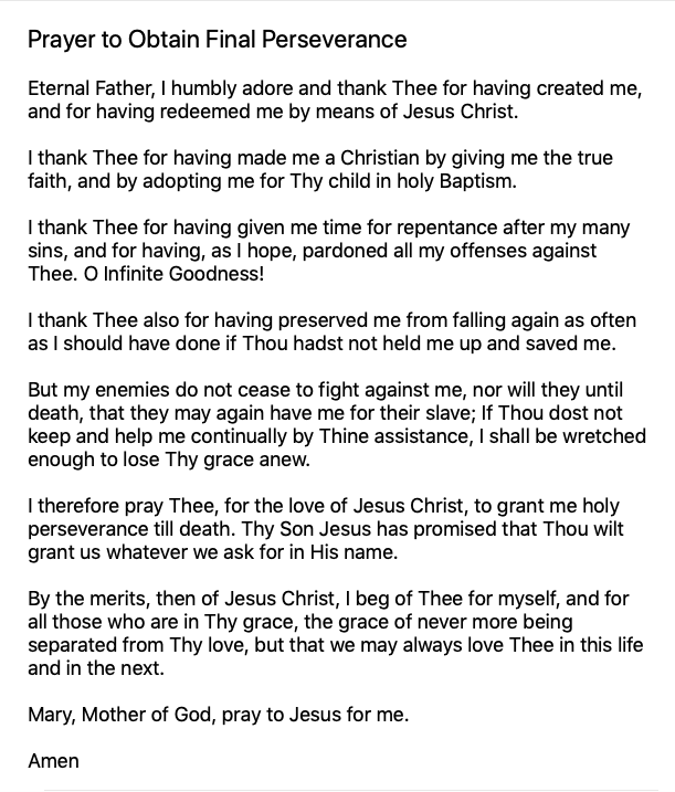 disciple96's tweet photo. Twitter family #prayerwarriors: A Twitter friend is in her final days of battling cancer & she's asking for prayers of final perseverance now. Please pray for Marie, a devout faithful Catholic Christian lady.
#CatholicTwitter #PrayerRequest #DivineMercyChapletForTheDying https://t.co/7XlwfV9Zxy