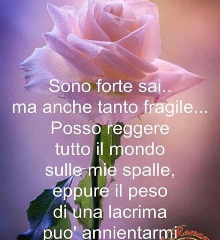 Loredana On Twitter Buonanotte Dolcezza