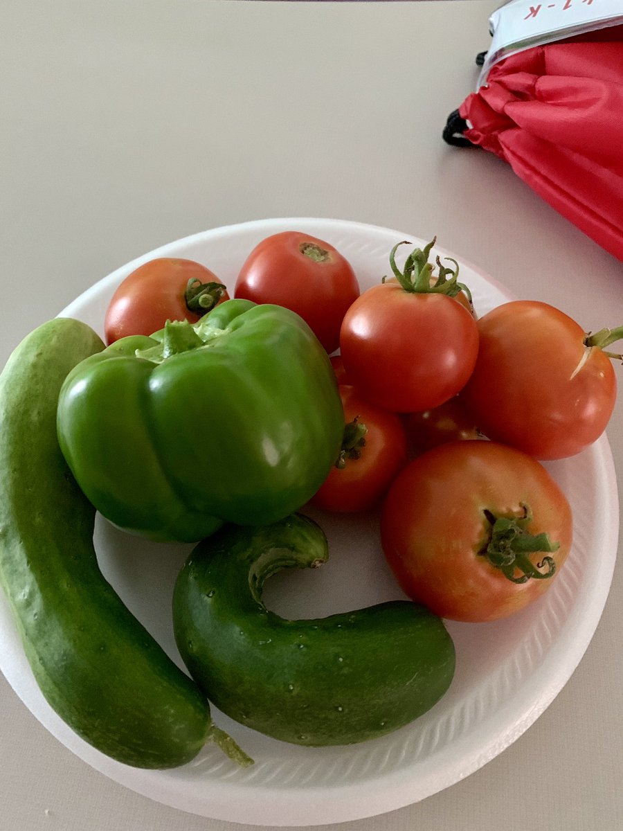 msferreira6's tweet photo. @OliveChapelElem our garden is full of beautiful butterflies and yummy veggies😃 @RuthSteidinger #backyardlearning #fromseedtothetable https://t.co/gL1mocFNNZ