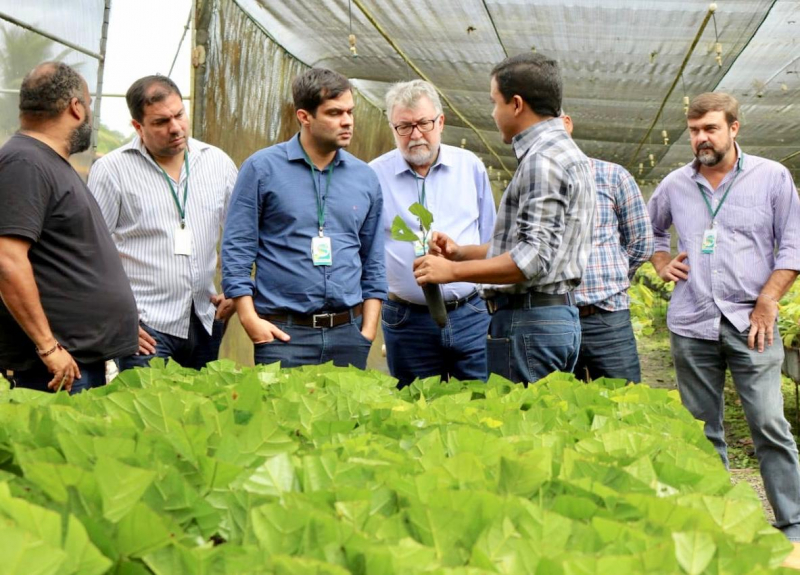 seagri's tweet photo. O Governo da Bahia produziu pesquisas e desenvolveu material genético p fazer a produção do cacau baiano ñ + sucumbir a pragas e nem prejudicar os produtores. A tecnologia melhorou a produção e a produtividade do cacau e retomou a atividade econômica cacaueira. https://t.co/87QNuHrPrc