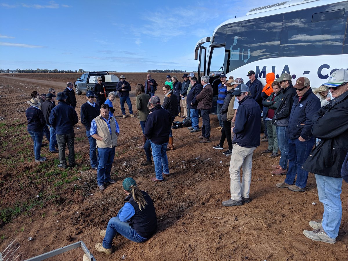 Glorious day for SVCGA Southern Tour as part of 2019 Cotton Collective.<a href="/CottonAustralia/">Cotton Australia</a> <a href="/CottonInfoAust/">CottonInfo</a> <a href="/CottonResearch/">CRDC</a> 3rd stop Dallas Stotts hearing about automated surface irrigation