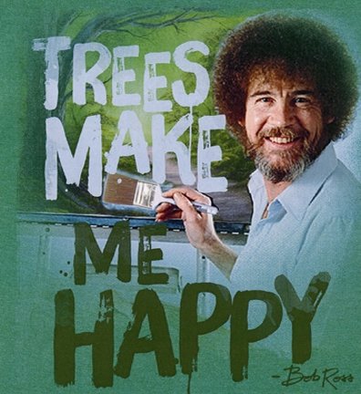 Colin McKay tweet media