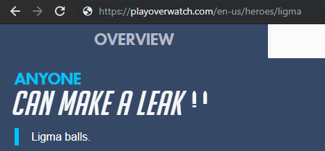 Noooiz's tweet photo. @SinyuaOW @PlayOverwatch https://t.co/4JFfkYUg3S