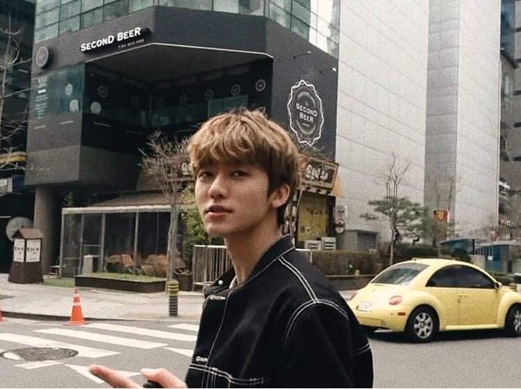 bgs bf material (closed) tweet media