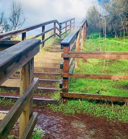 Wildlife_Tours's tweet photo. Can you guess the location of these stairs??❄️📸 @jarrodg90 
#melbourne #daytourfrommelbourne #visitmelbourne #melbournetours #travelaustralia #wildlifetours @wildlifetours @Wildlife_Tours https://t.co/ZP9eYugCPq