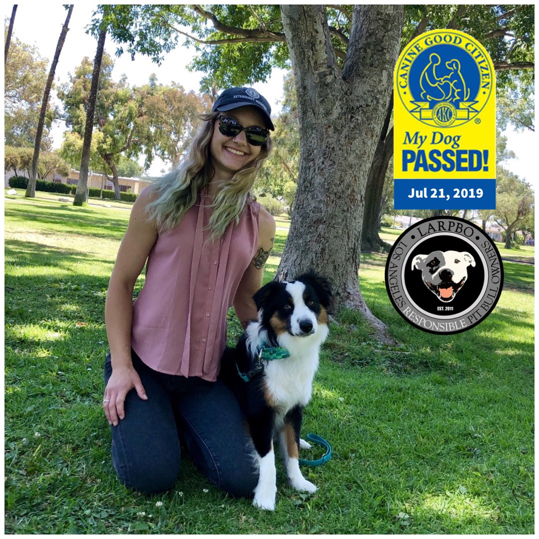 Atlas got his CGC this weekend! What’d you do?