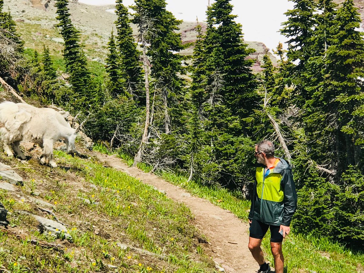 I am back after 2 days of internet and cell phone black out in Glacier National Park. Head to my blog to read more about our adventure: jeremybikes.blog #Bike4MS