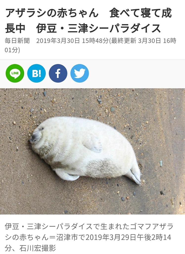 悪いニュースじゃなくて？動物たちのほっこりするニュースが増えてほしい！