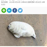 悪いニュースじゃなくて？動物たちのほっこりするニュースが増えてほしい!