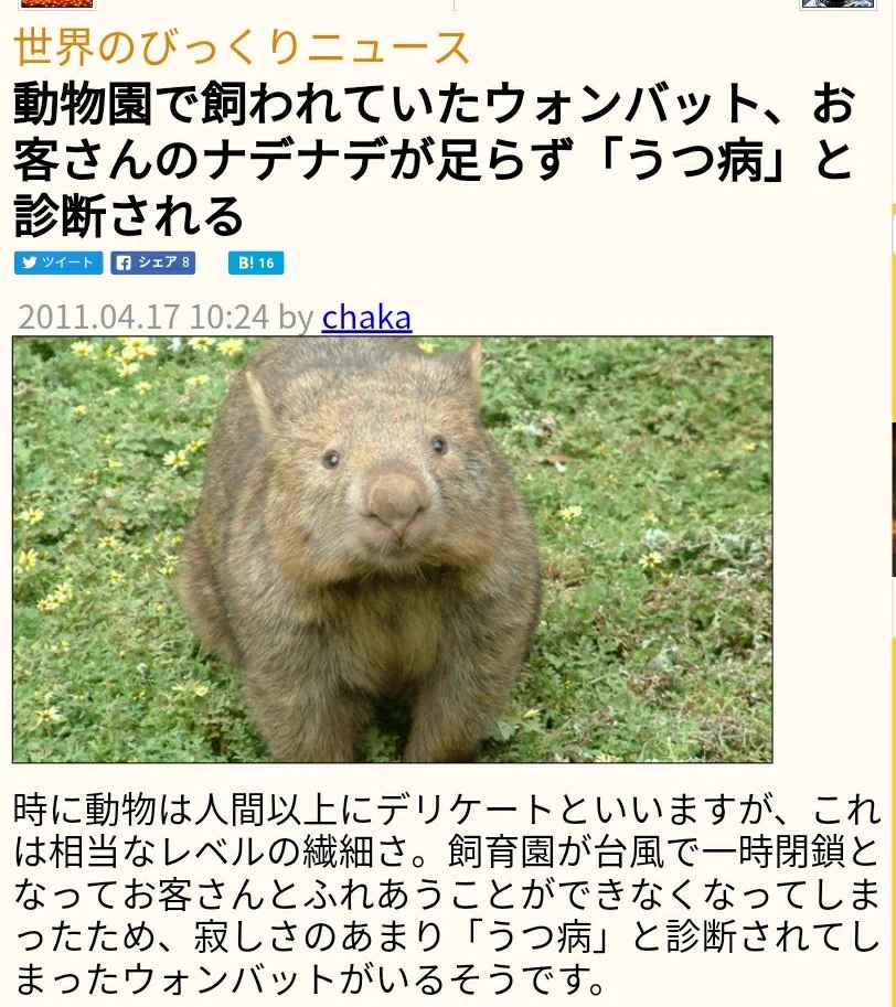 悪いニュースじゃなくて？動物たちのほっこりするニュースが増えてほしい！