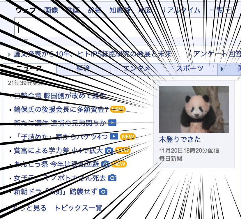 悪いニュースじゃなくて？動物たちのほっこりするニュースが増えてほしい！