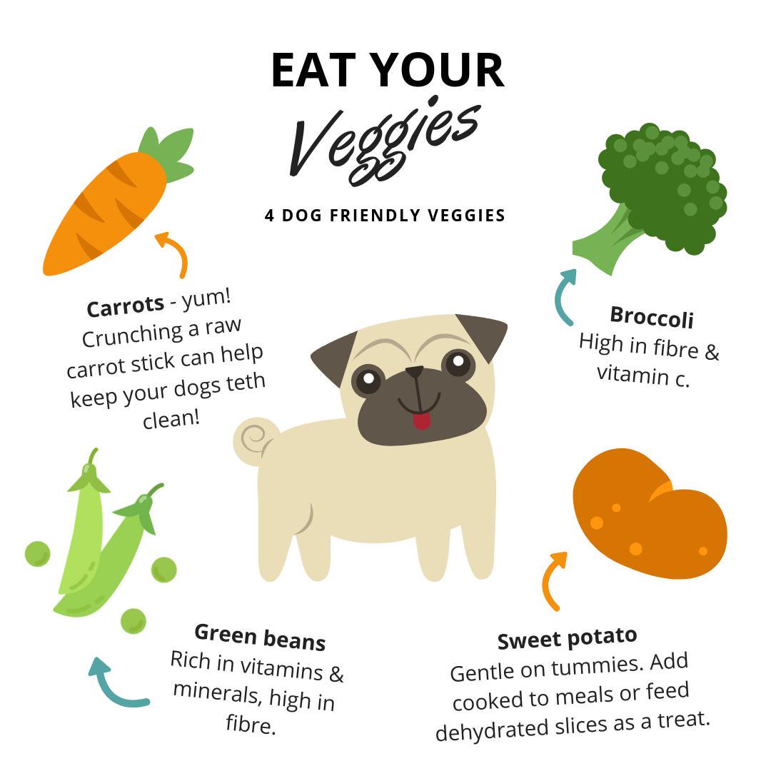puppy_yupi's tweet photo. Yummy, healthy treats your dog will love! #vegpower #vegdog https://t.co/3vIG8LwiG4