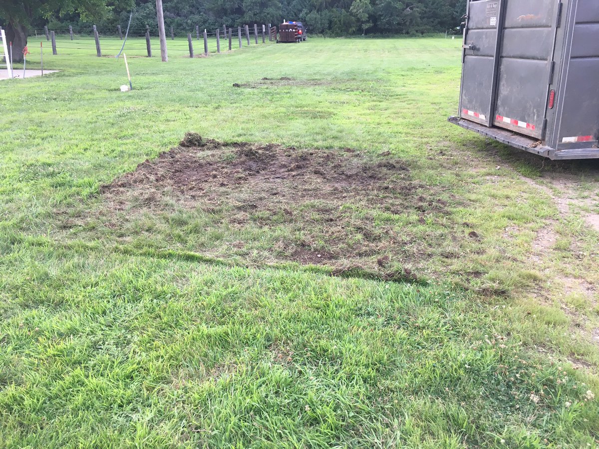 GreenwayPork's tweet photo. There are people who think all pigs should be raised outside on green pastures. 
4 pigs x 2 hours - can you imagine how much land the 4800 pigs in our barns right now would turn to dirt?? 🐖🐖🐖🐖🐖🐖🐖🐖🐖🐖🐖
#sustainablefarming #realpigfarming https://t.co/FgADNk5hPJ