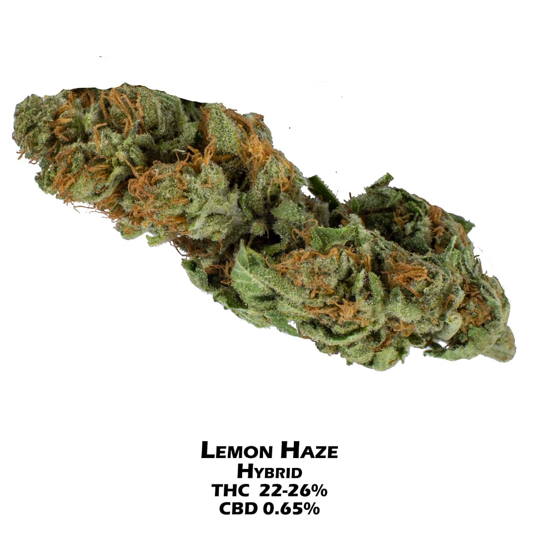 MJBlogCanada's tweet photo. Monday mood. 😍💨
@MaryjanesOka
#stonerfam #MJBlog #puffpuffpass #maryjane #highlife #lemonhaze #MondayMood #highsociety #weedart #cannabisphotography #420photography #MondayMotivation #stonernation #hemp #IamCannabis #terps #MondayVibes #cannabis #cannabiscommunity #weed https://t.co/vUlSB4pg1s