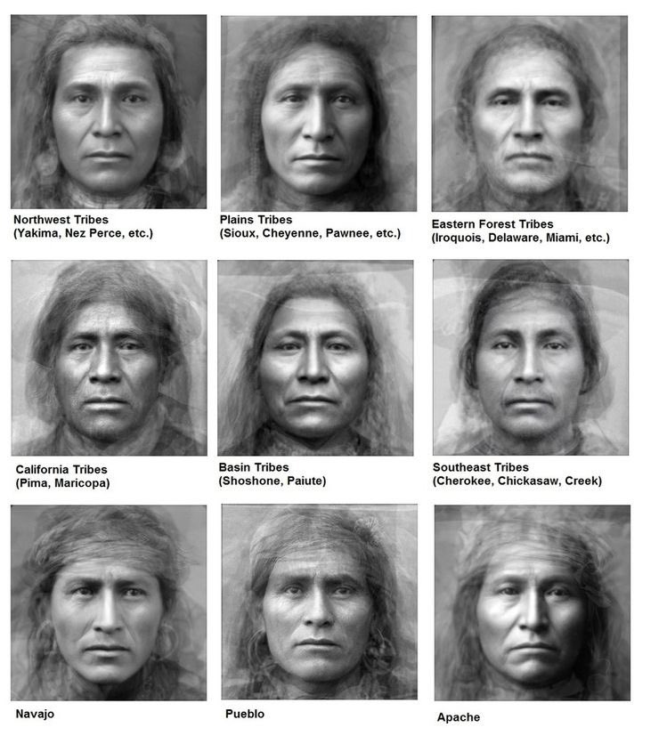 For tens of thousands of years only brown skinned people inhabited North America. 

If you traveled back in time 500 years, these are the only people you would see here. 

Respect Native culture because it exponentially predates Americana.