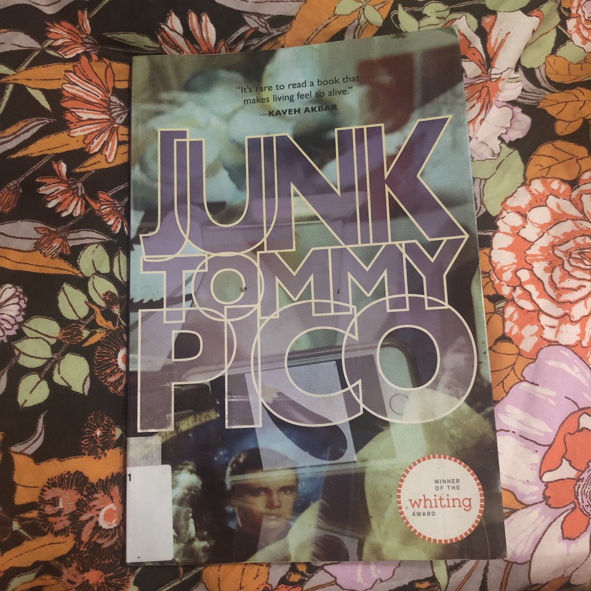 38. Junk - Tommy Pico