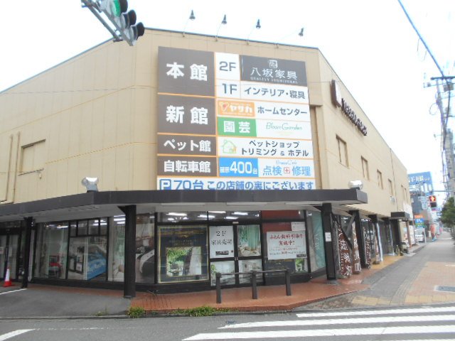 Fox2号 Countryfoxjp Twitter