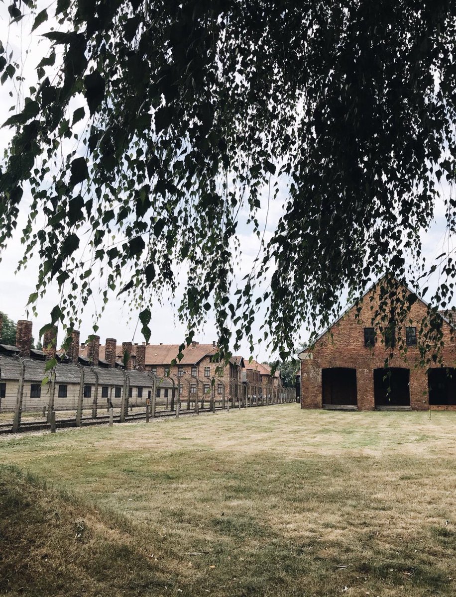 Els joves per la pau van visitar el camp de concentració d’Auschwitz, va estar impressionant! #immaculadagava #auschwitz #jovesperlapau