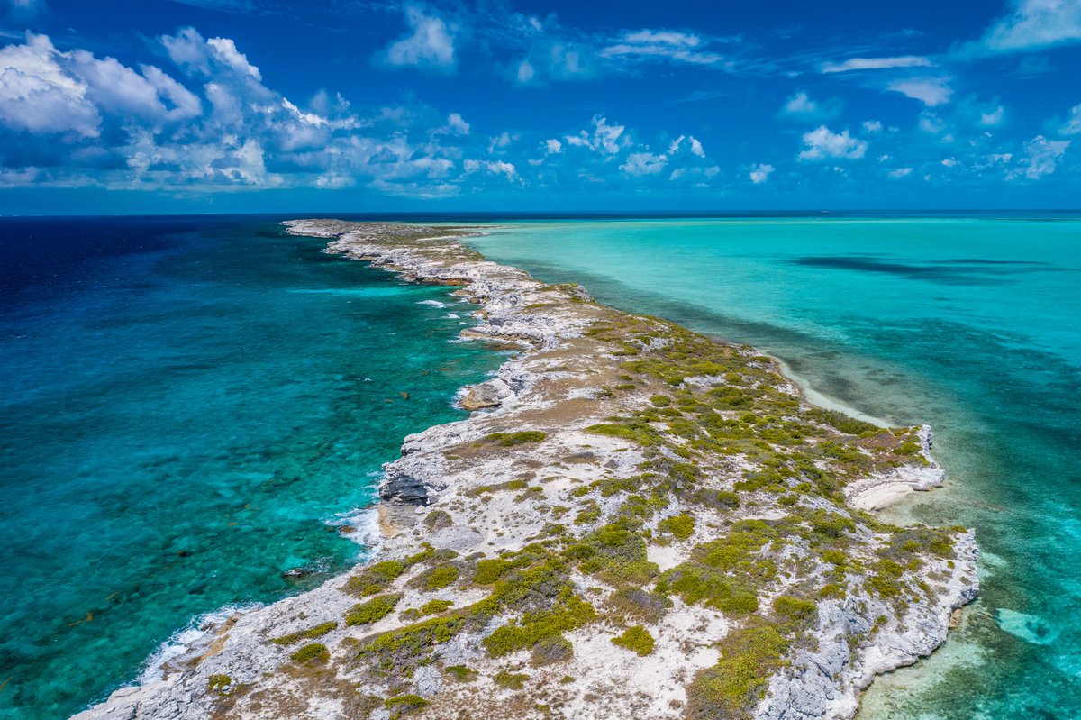 eastbayresort's tweet photo. Some great photos of a 2-hour excursion to Long Cay on South Caicos in #turksandcaicos, where you can visit iguanas, stroll through Starfish Alley &amp; go #snorkeling to experience an incredible marine environment. @eastbayresort offers discounted rates up to 50% off this #summer! https://t.co/b4BGI8QWI1