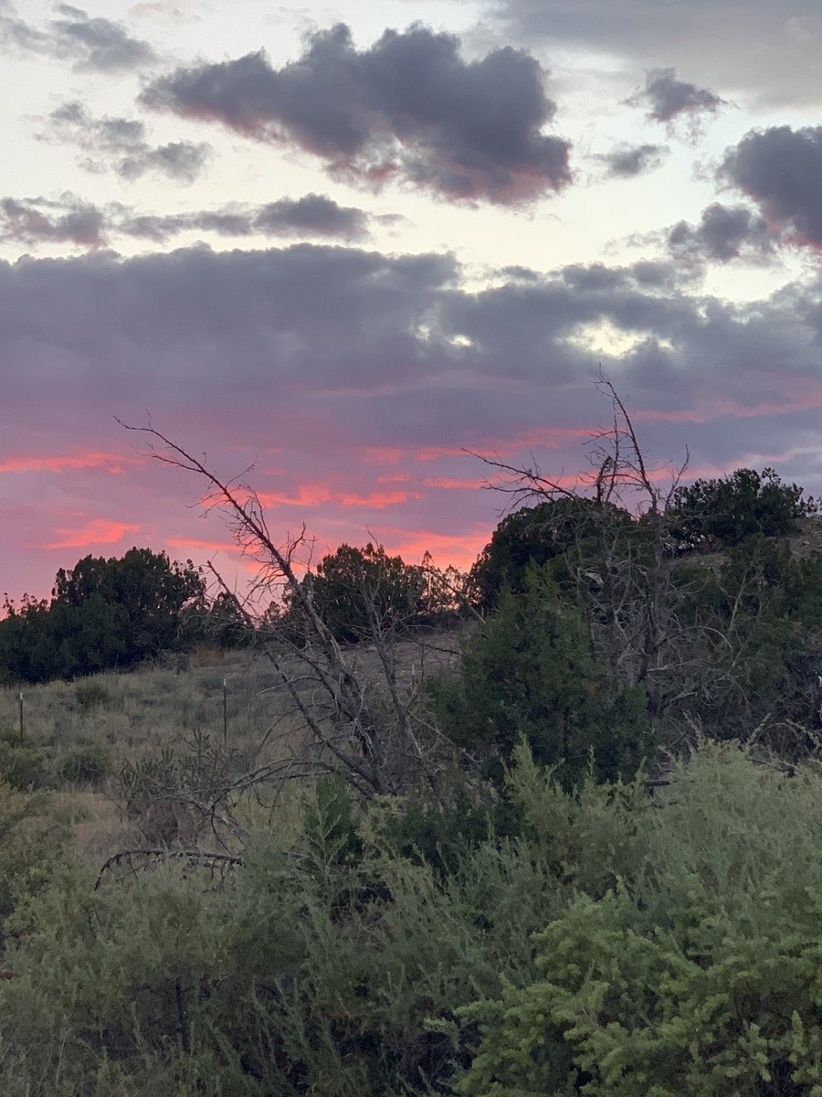 cd_clifford's tweet photo. Highlights from residency at #ssbaway in #Abiquiu- also I finished a draft. https://t.co/1glxee3Sb2
