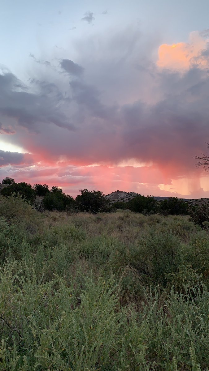 cd_clifford's tweet photo. Highlights from residency at #ssbaway in #Abiquiu- also I finished a draft. https://t.co/1glxee3Sb2