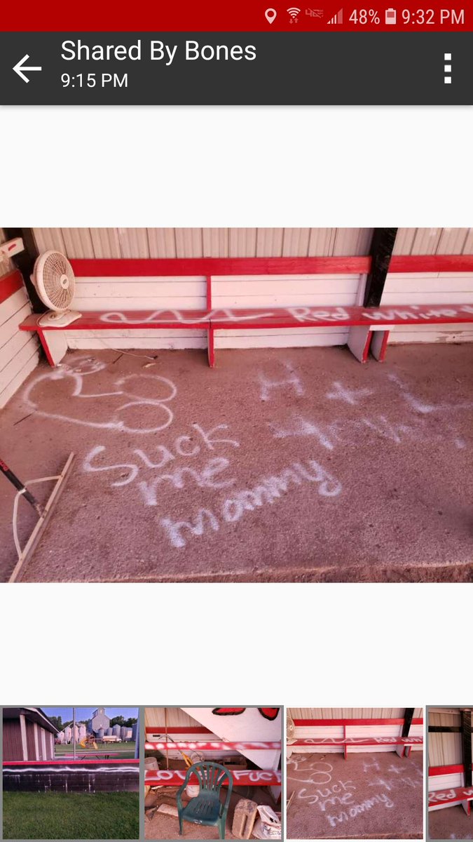 RoscoeBaseball's tweet photo. One of many disturbing graffiti marks in and around our park...#notcool #why https://t.co/ElRKPbfuB3