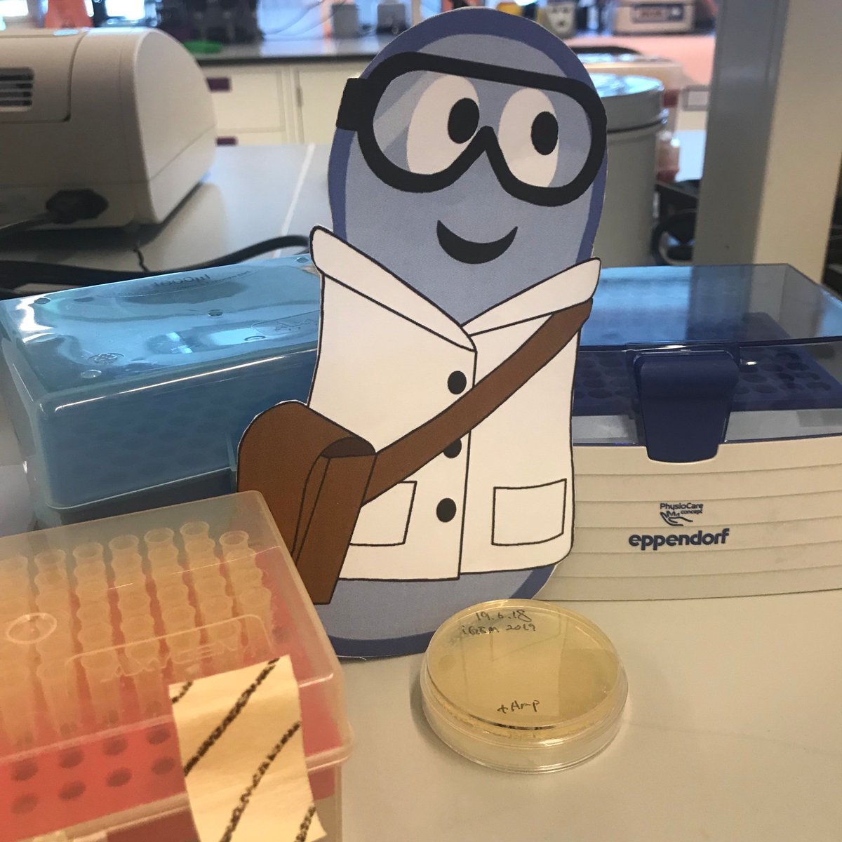 IgemNyush's tweet photo. With the help of @iGEMLabPats we brought #mikethemicrobe to Shanghai ๐จ๐ณ https://t.co/eHuQJQOYMR