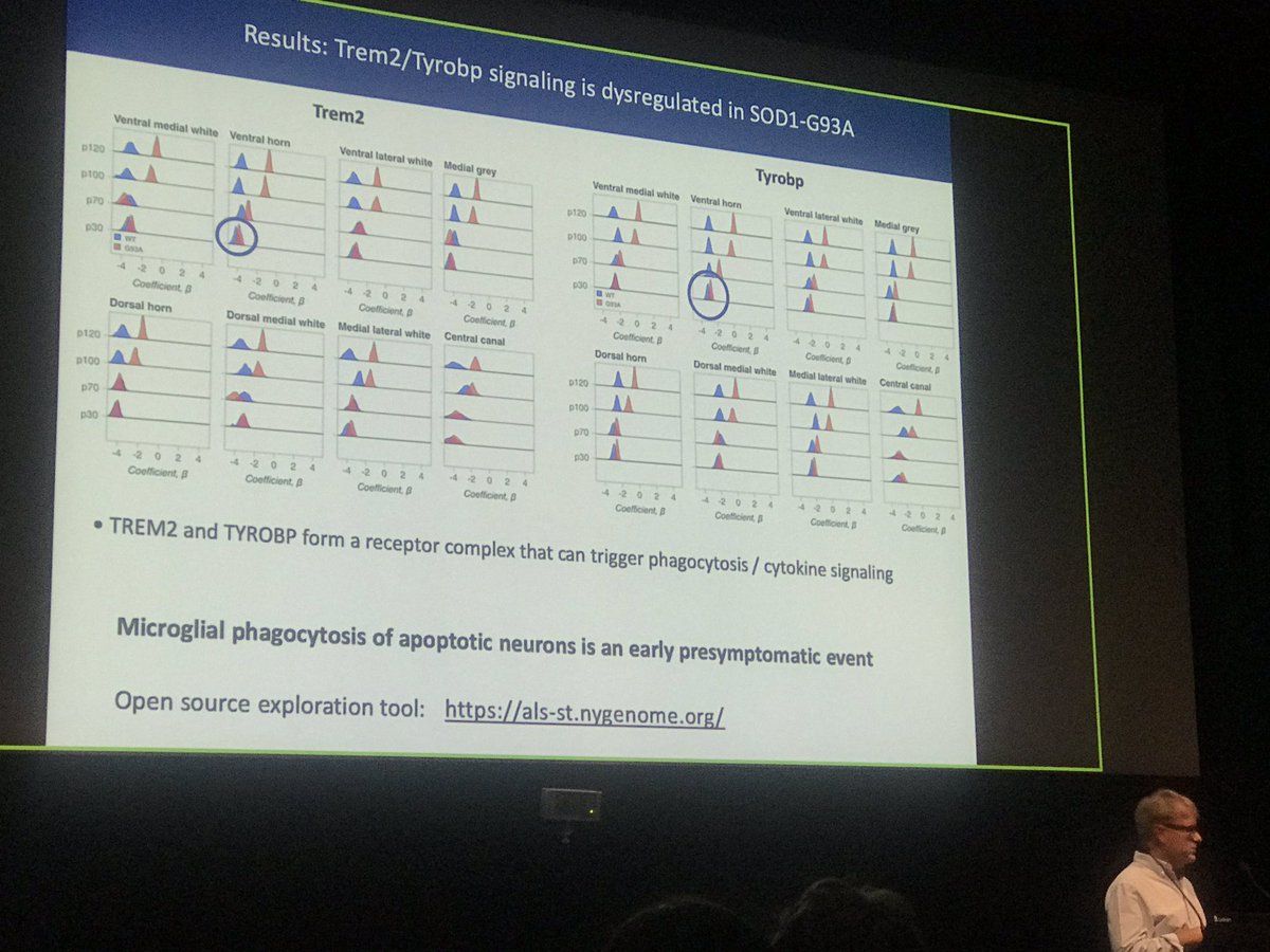 m_mohenska's tweet image. The focus on #spatialTransciptomics today at #ozsinglecell19 has been great! Joakim Lundeberg has just given a great talk on spatial and temporal analysis of various tissues.