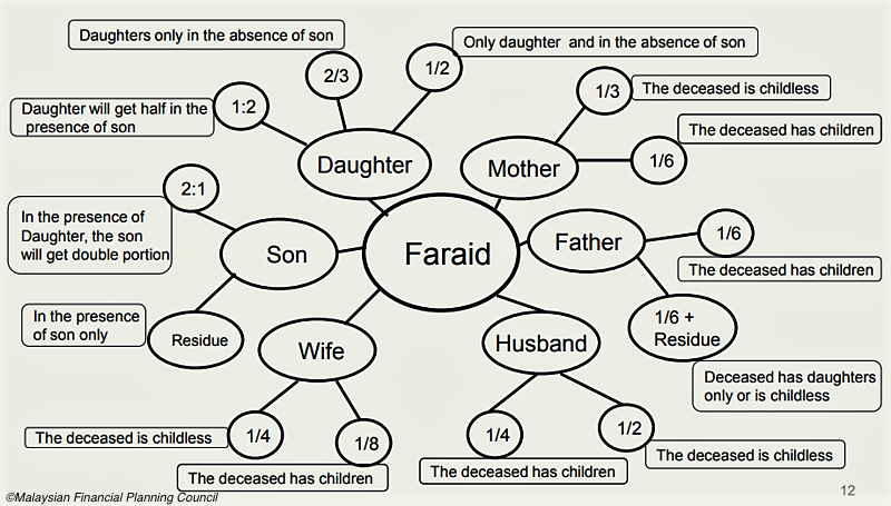 Islamic Law Of Inheritance Chart