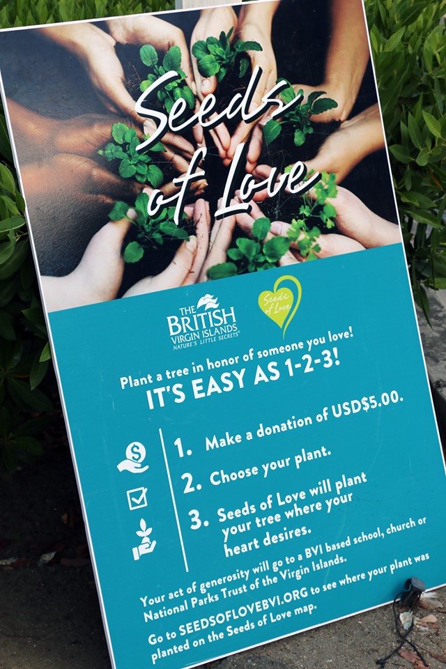 Thank you to everyone that came out to our #SeedsofLove Planting Day🌱

The sun was blazing but we still managed to plant 25 new Green and Silver Buttonwood plants on DeCastro Street in Tortola, BVI. We had a blast and can’t wait to do it again! 🤗 #OneBVI