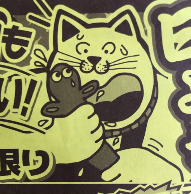 スーパーのチラシに描かれた猫さんの絵 何かがおかしい Ac部っぽい