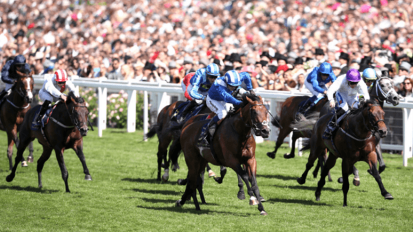 LegacyMedDog's tweet photo. Daily Horse Racing Betting Tips https://t.co/DgnNzJfFUm https://t.co/ndnfu8d9fJ